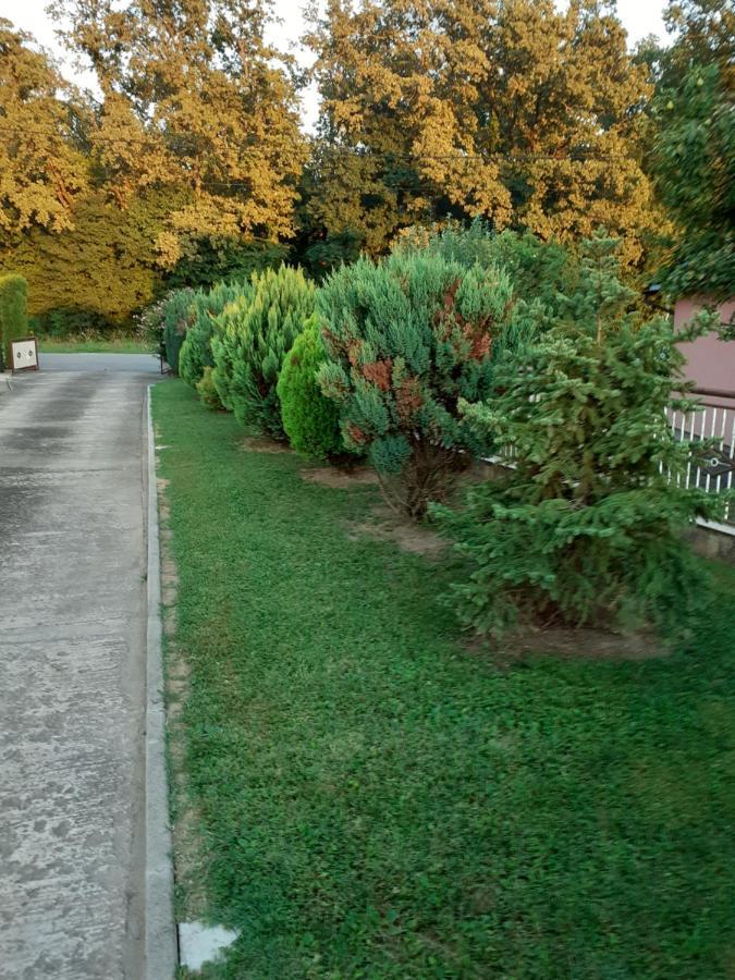 Maja Velika Gorica